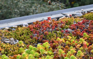 the cost of Snaith green roof installation